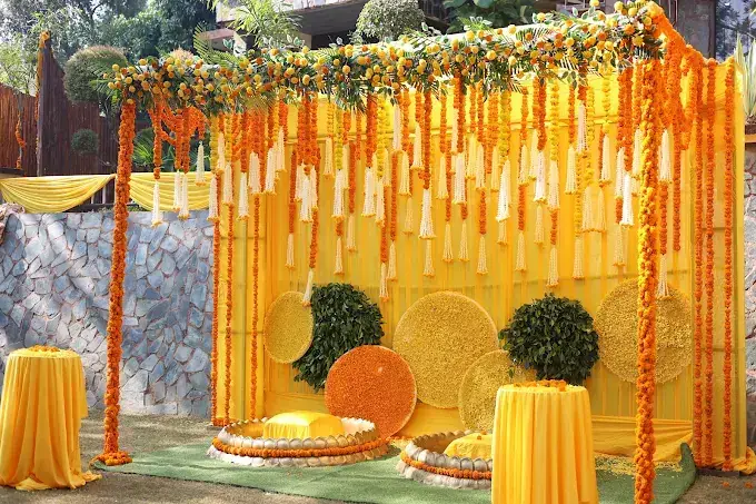 Marigold haldi backdrop with yellow drapes and floral discs